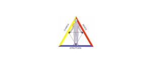 Il Triangolo della Salute: Struttura, Biochimica e Psiche