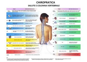 Chiropratica: Oltre il “Crack”, la Scienza degli Aggiustamenti Vertebrali