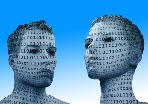 Il Sistema Endocannabinoide: Un Regolatore Maestro del Corpo