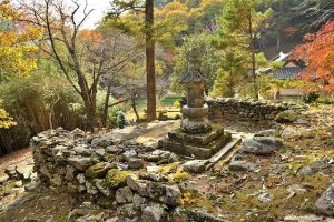 Zeolite Clinoptilolite: Il Minerale Vulcanico per la Disintossicazione