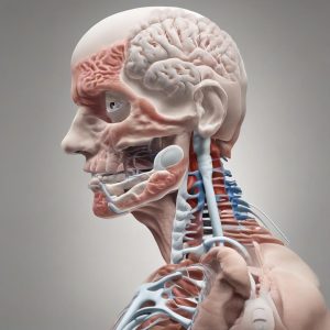 Fisioterapia respiratoria: esercizi per migliorare l’ossigeno